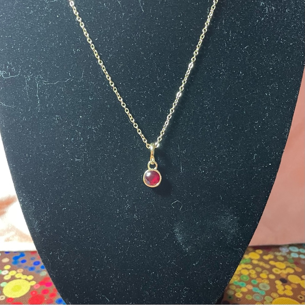 BARGAIN 2/$15 Victoria Emerson July Birthstone Necklace